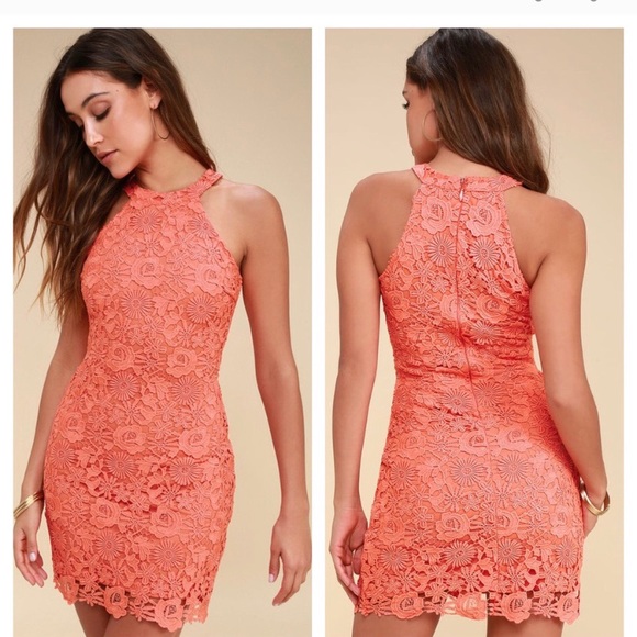 HOST PICK Lulu’s coral lace dress - Picture 4 of 8